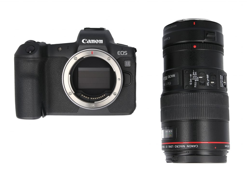  Canon EOS R mit Makroobjektiv